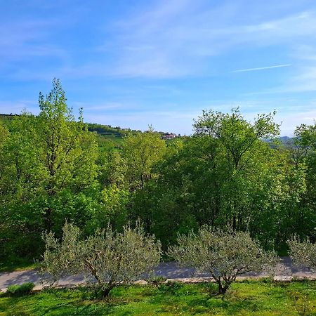 Apartma Lavanda Kojsko Exterior foto