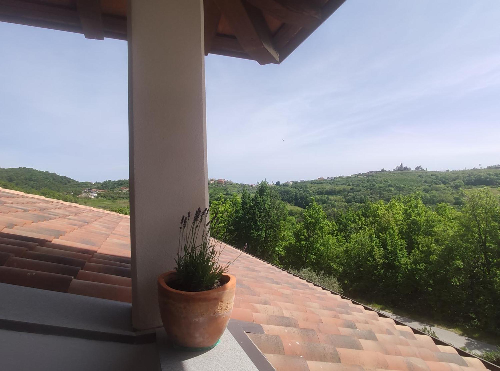 Apartma Lavanda Kojsko Exterior foto