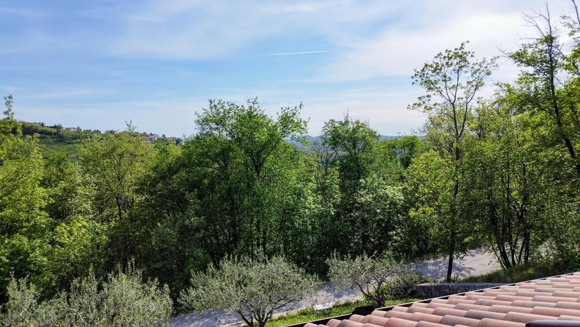 Apartma Lavanda Kojsko Exterior foto